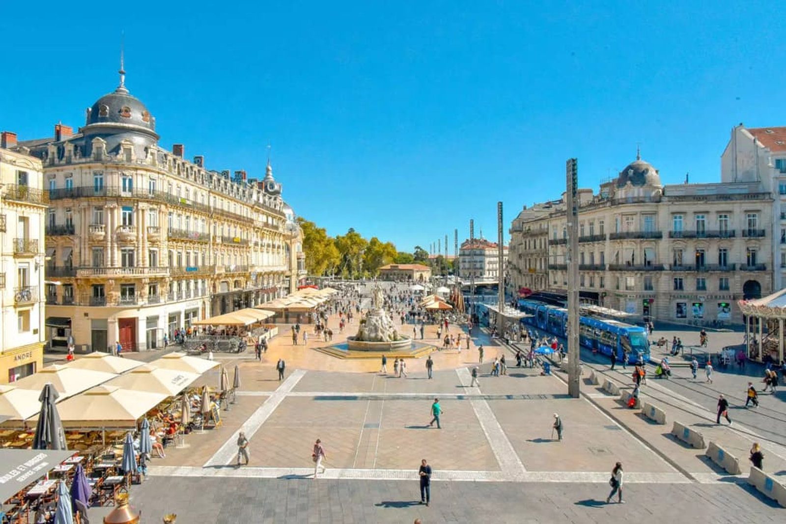 Diseño de Stands en Montpellier